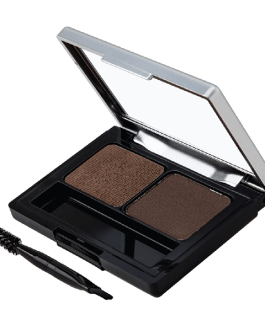 Aenean volutpat rhoncus tortor