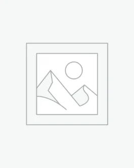 Suspendisse dictum nibh quis neque